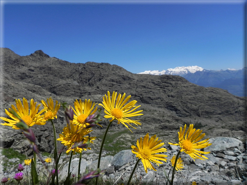 foto Col de Medzove